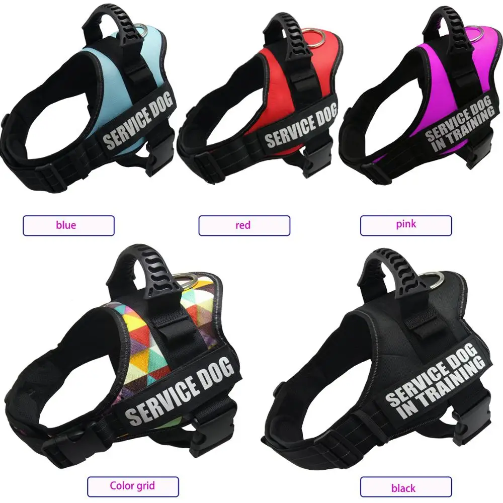 2021 Pet Hot Sale Reflective Rope Nylon Handle Adjustable 11Colors Large Dog Harness For Small Medium Large Dog Animals
2021 Pet Hot Sale Reflective Rope Nylon Handle Adjustable 11Colors Large Dog Harness For Small Medium Large Dog Animals