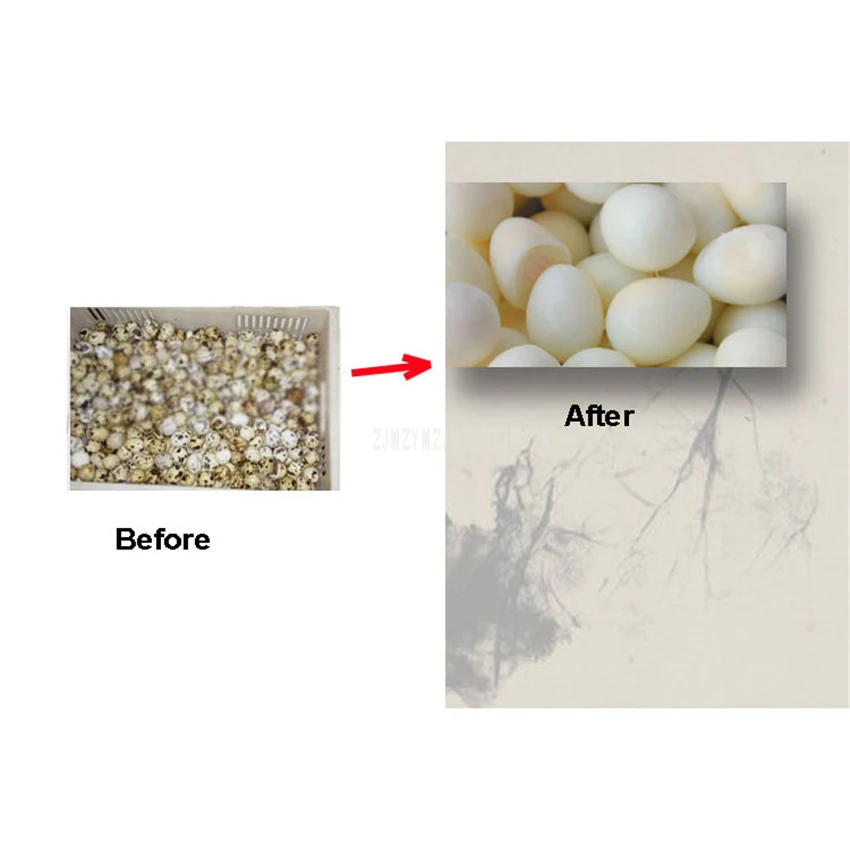 Electric Quail Egg Sheller Peeling Machine Stainless Steel Quail Egg Peeler Machine Bird Egg Shelling Machine Commercial 60kg/h
Electric Quail Egg Sheller Peeling Machine Stainless Steel Quail Egg Peeler Machine Bird Egg Shelling Machine Commercial 60kg/h