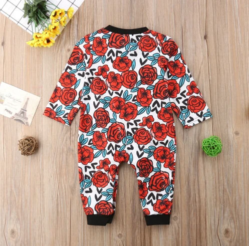 Infant Newborn Toddler Baby Girl Clothes Flower Romper Jumpsuit Playsuit Long Sleeve Cotton Clothes Casual Baby Girls 0-24M
Infant Newborn Toddler Baby Girl Clothes Flower Romper Jumpsuit Playsuit Long Sleeve Cotton Clothes Casual Baby Girls 0-24M