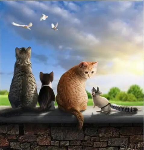 Oneroom Dmc Cross stitch series Home decoration 14/16/18/28 Diy Needlework kits embroidery Cross stitch kit Animals sky
Oneroom Dmc Cross stitch series Home decoration 14/16/18/28 Diy Needlework kits embroidery Cross stitch kit Animals sky