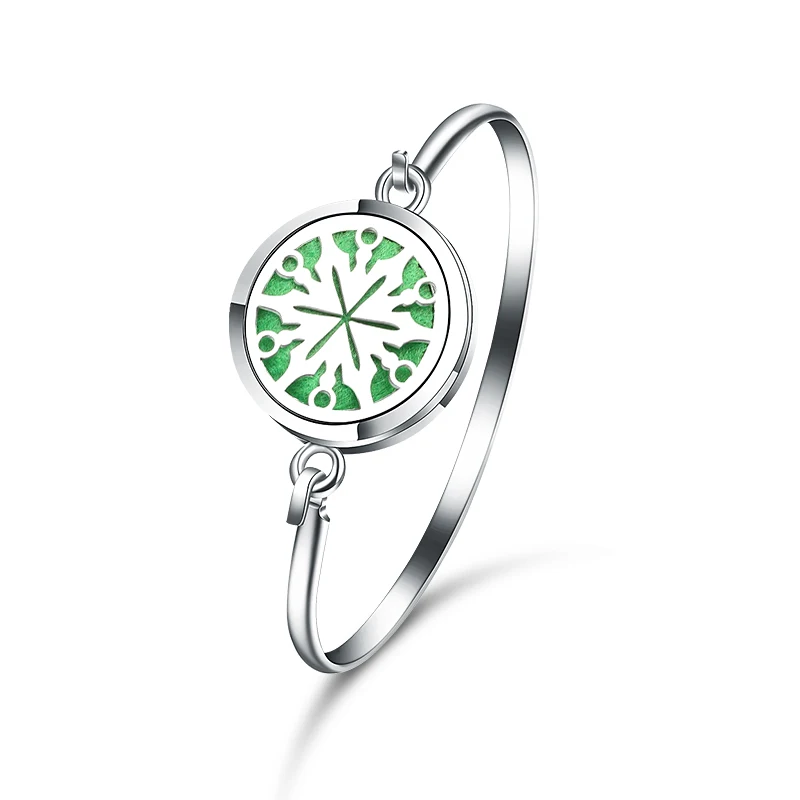 Christmas Nowflake Aroma Diffuse Bracelet Bangle Stainless Steel Essential Oil Diffuser Perfume Lockets Aromatherapy Bracelet
Christmas Nowflake Aroma Diffuse Bracelet Bangle Stainless Steel Essential Oil Diffuser Perfume Lockets Aromatherapy Bracelet