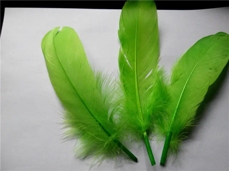 500pcs/lot!15-20cm long green Goose Feathers,Hat Trimming,Feathers for Millinery,Fascinators&Crafts
500pcs/lot!15-20cm long green Goose Feathers,Hat Trimming,Feathers for Millinery,Fascinators&Crafts