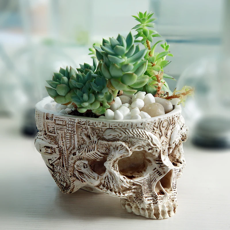 Hand Carved Skull Flower Pot Human Skull Bone Bowl Home Garden Decor Halloween Decoration
Hand Carved Skull Flower Pot Human Skull Bone Bowl Home Garden Decor Halloween Decoration
