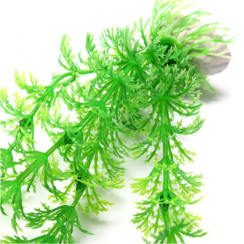 Hot Sale 2pcs Green Aquarium Artificial Water Plant Grass Decoration Fish Tank Landscaping Accessories Ornaments 30cm
Hot Sale 2pcs Green Aquarium Artificial Water Plant Grass Decoration Fish Tank Landscaping Accessories Ornaments 30cm