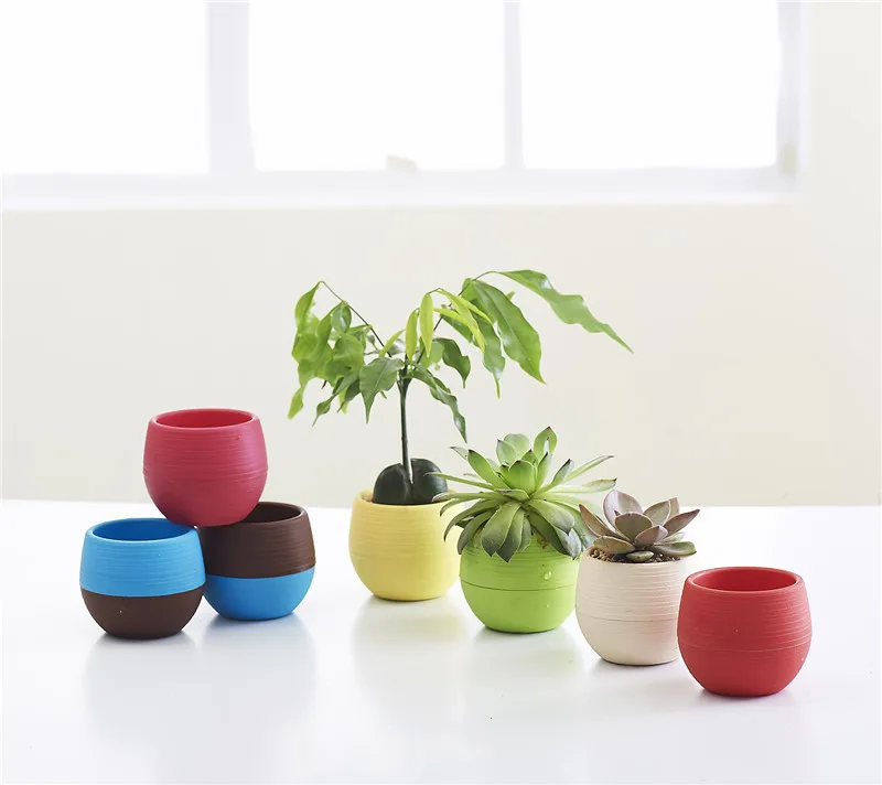 Gardening Mini Plastic Flower Pots nursery pots, Home Office Decor Plants Pots lazy storage pot Bonsai Planter 3 sizes
Gardening Mini Plastic Flower Pots nursery pots, Home Office Decor Plants Pots lazy storage pot Bonsai Planter 3 sizes