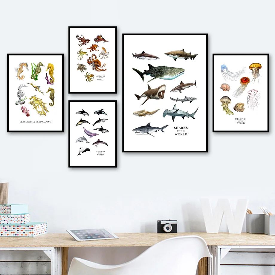 Shark Dolphin Octopus Seahorse Wall Art Canvas Painting Marine Life Nordic Posters And Prints Wall Pictures Baby Kids Room Decor
Shark Dolphin Octopus Seahorse Wall Art Canvas Painting Marine Life Nordic Posters And Prints Wall Pictures Baby Kids Room Decor