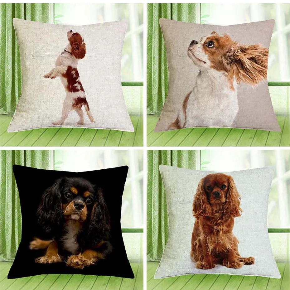 Cavalier King Charles Spaniel 43X43cm Pillow Cases Pillowcase Bedroom Sofa Home Decoration
Cavalier King Charles Spaniel 43X43cm Pillow Cases Pillowcase Bedroom Sofa Home Decoration