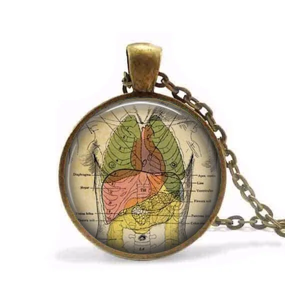 Human anatomy pendant internal organs anatomy necklace Anatomical necklace doctor nurse gift biology medical student gift chain
Human anatomy pendant internal organs anatomy necklace Anatomical necklace doctor nurse gift biology medical student gift chain