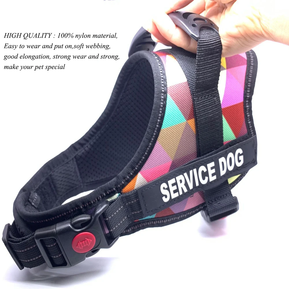 Dog Harness Adjustable Outdoor Explosion-proof Chest Strap Easy Control for Small Medium Large Dogs Pet Harness
Dog Harness Adjustable Outdoor Explosion-proof Chest Strap Easy Control for Small Medium Large Dogs Pet Harness