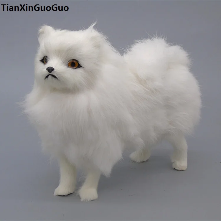 large 22x20cm simulation white Pomeranian dog hard model plastic&furs dog prop,home decoration toy gift s1838
large 22x20cm simulation white Pomeranian dog hard model plastic&furs dog prop,home decoration toy gift s1838