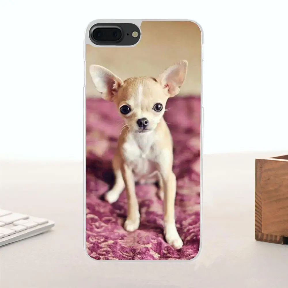 Чихуахуа собака щенок для Huawei G7 G8 Honor 5A 5C 5X 6 6X 7 8 V8 Mate 9 P7 P8 P9 P10 Lite Plus классические