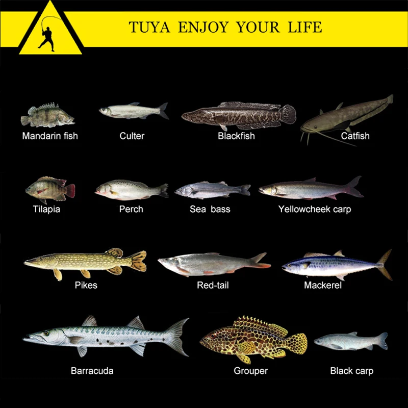 10pcs/set Fishing Lure Minnow Topwater Pencil Trolling Wobbler Whopper Plopper Rotating Tail Popper Artificial Bait 10.5cm 17g
10pcs/set Fishing Lure Minnow Topwater Pencil Trolling Wobbler Whopper Plopper Rotating Tail Popper Artificial Bait 10.5cm 17g