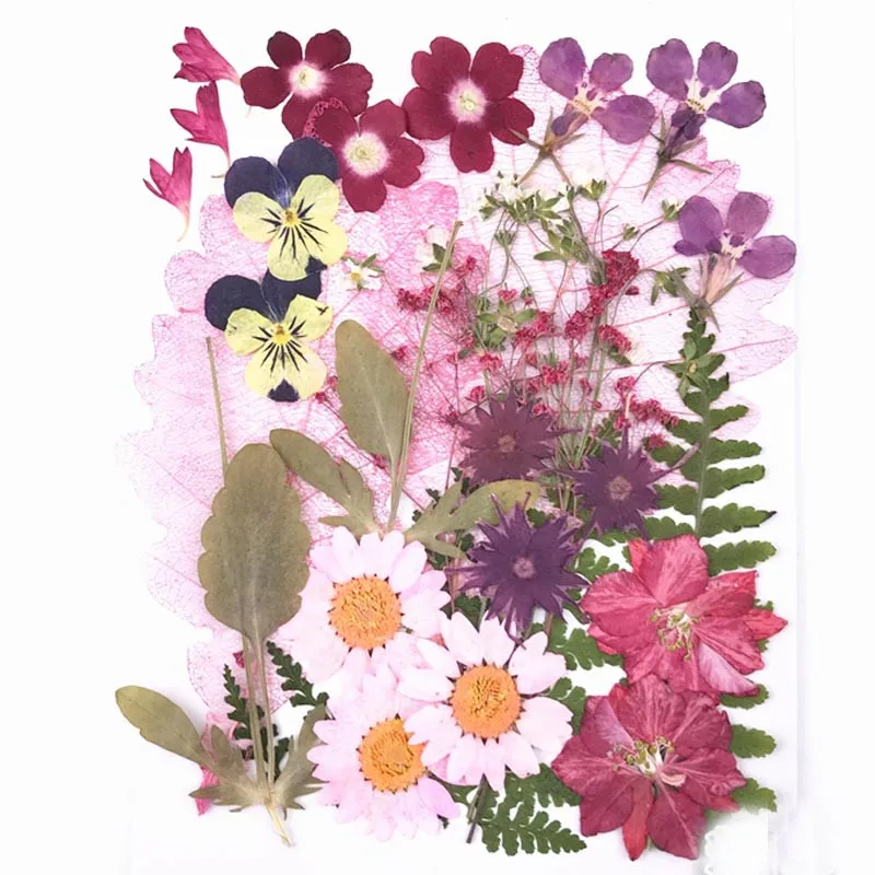 2022 Pressed Flower Combination Pink Color For Cell Phone Decoration Free Shipment 4 Bags
2022 Pressed Flower Combination Pink Color For Cell Phone Decoration Free Shipment 4 Bags
