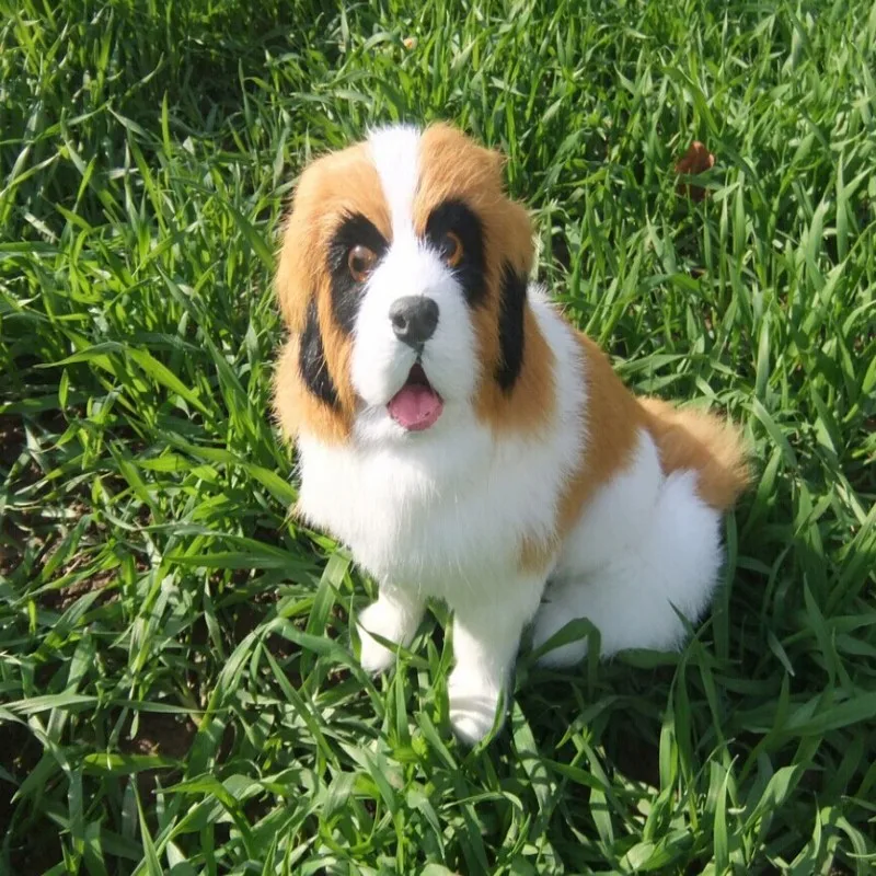 cute Simulation saint bernard dog polyethylene&furs sitting dog model gift about 20x16cm y0260
cute Simulation saint bernard dog polyethylene&furs sitting dog model gift about 20x16cm y0260