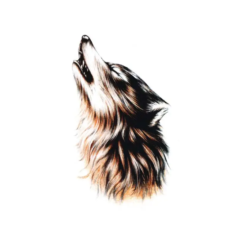 200pcs 210*150mm Waterproof Fake Wolf 1PC Hand Lasting Long Body Art Cartoon Men Animals Women Animal Tattoos Temporary Tattoo
200pcs 210*150mm Waterproof Fake Wolf 1PC Hand Lasting Long Body Art Cartoon Men Animals Women Animal Tattoos Temporary Tattoo