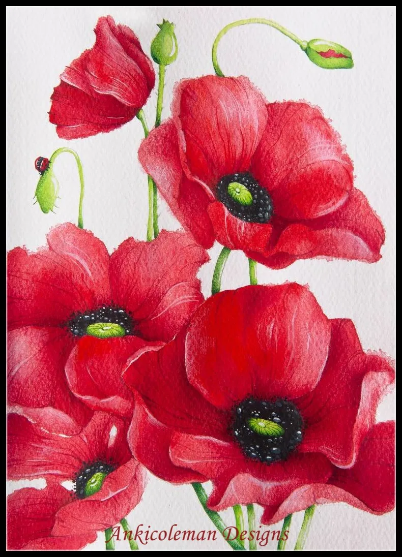 Embroidery Counted Cross Stitch Kits Needlework - Crafts 14 ct DMC DIY Arts Handmade Decor - Poppies
Embroidery Counted Cross Stitch Kits Needlework - Crafts 14 ct DMC DIY Arts Handmade Decor - Poppies