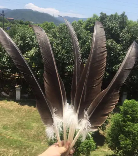 New listing! 10PCS20-24 inch / 50-60cm rare natural eagle feathers, pheasant feathers decorated collection. Hot
New listing! 10PCS20-24 inch / 50-60cm rare natural eagle feathers, pheasant feathers decorated collection. Hot