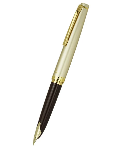 Оригинальная перьевая ручка с гравировкой пилота, лимитированная серия, 14k, портативная карманная ручка, бесплатная доставка
Оригинальная перьевая ручка с гравировкой пилота, лимитированная серия, 14k, портативная карманная ручка, бесплатная доставка