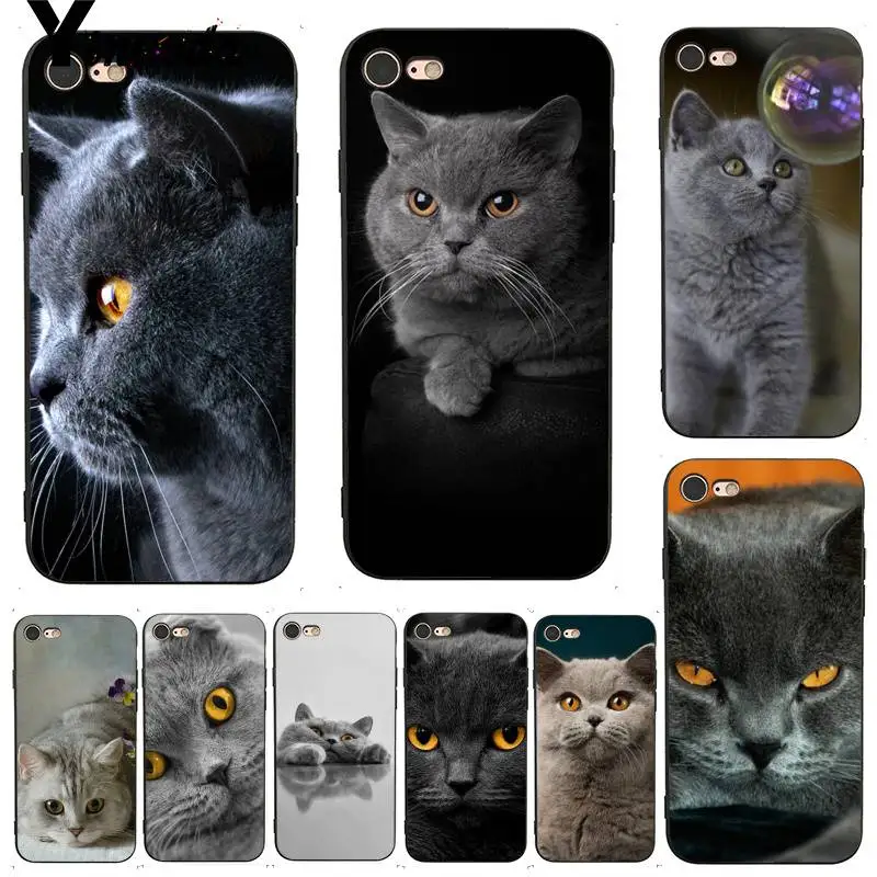 Yinuoda For iphone 7 6 X Case British Shorthair cat Top Design Phone Case for iPhone 7 6 X 8 6s Plus 5 5S XS XR Case
Yinuoda For iphone 7 6 X Case British Shorthair cat Top Design Phone Case for iPhone 7 6 X 8 6s Plus 5 5S XS XR Case