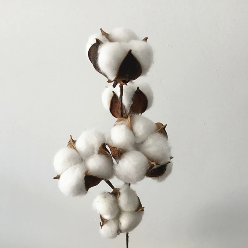 1pcs Natural Dried Cotton Flowers Heads Plant Artificial DIY Branch Party Home Decoration Props YYY9762
1pcs Natural Dried Cotton Flowers Heads Plant Artificial DIY Branch Party Home Decoration Props YYY9762