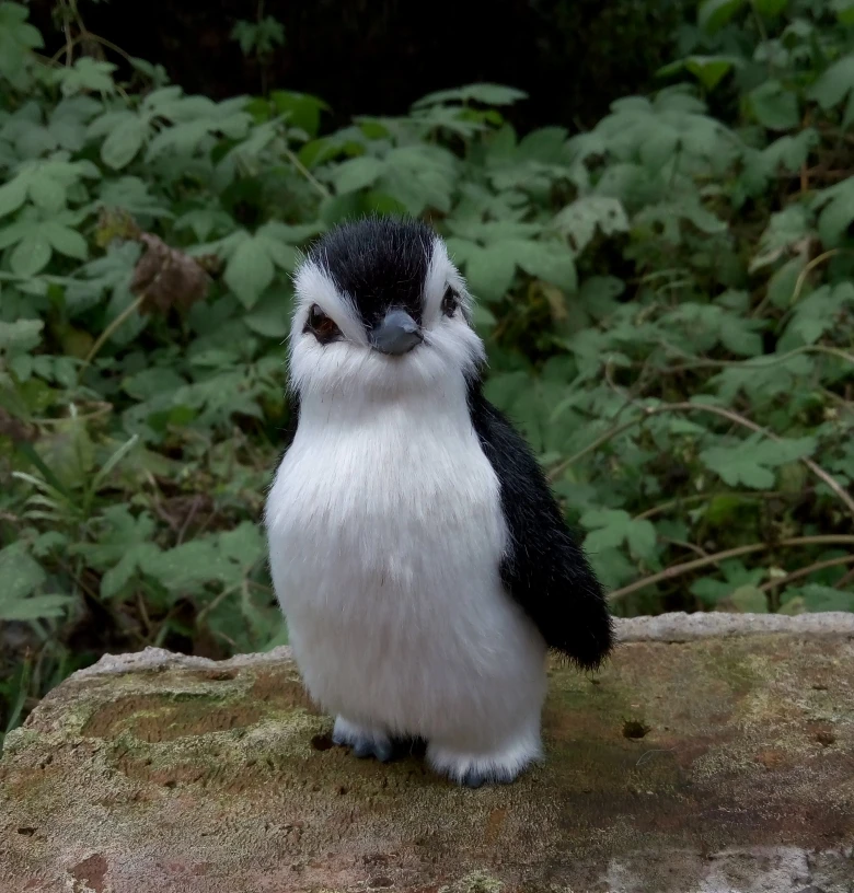 small cute simulation penguin toy resin&fur penguin doll gift about 12x7cm 2226
small cute simulation penguin toy resin&fur penguin doll gift about 12x7cm 2226