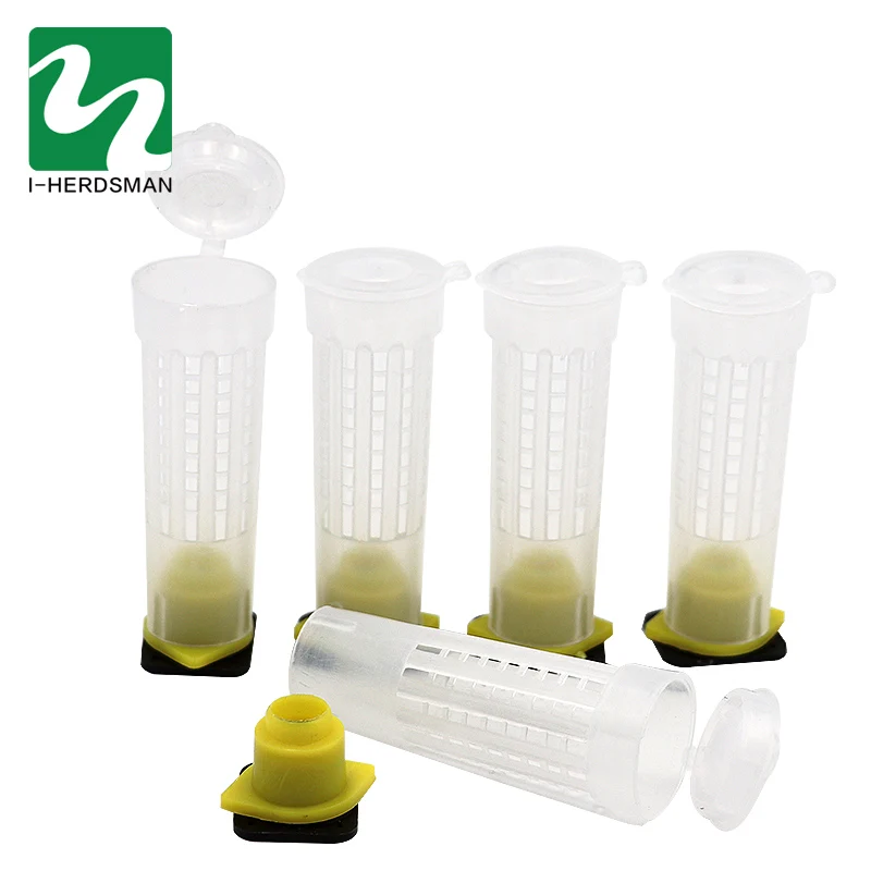 5 Pcs Beekeeping Queen Cages Prevent Bee Biting Cage Plastic Bee Cell Cups Bee Beekeeping Tools Equipment 76mm
5 Pcs Beekeeping Queen Cages Prevent Bee Biting Cage Plastic Bee Cell Cups Bee Beekeeping Tools Equipment 76mm