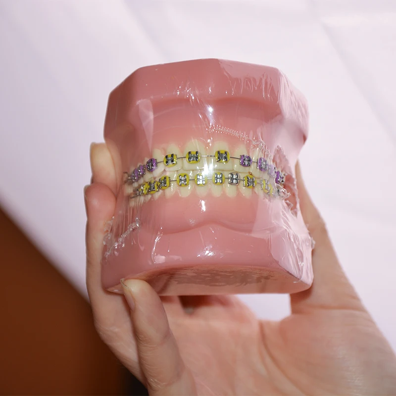 B3-01 Orthodontic Dental Typodont Teeth Model with Fully Metal Bracket High Quality Dental Orthodontic Model With Teeth Brackets
B3-01 Orthodontic Dental Typodont Teeth Model with Fully Metal Bracket High Quality Dental Orthodontic Model With Teeth Brackets