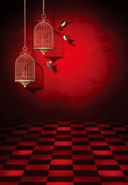 Birdcage Birdie Red Vinyl Photography Background Cloth Backdrops for Photography Kids Birthday Photo Background
Birdcage Birdie Red Vinyl Photography Background Cloth Backdrops for Photography Kids Birthday Photo Background