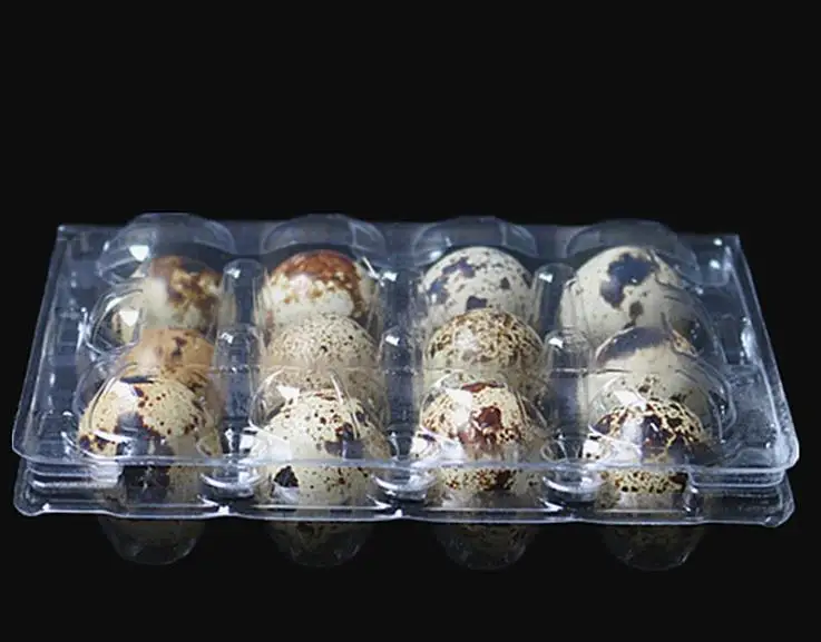 1000pcs/lot 12 Holes Quail Egg Containers Plastic Egg Boxes D28mm/H39mm lin2919
1000pcs/lot 12 Holes Quail Egg Containers Plastic Egg Boxes D28mm/H39mm lin2919