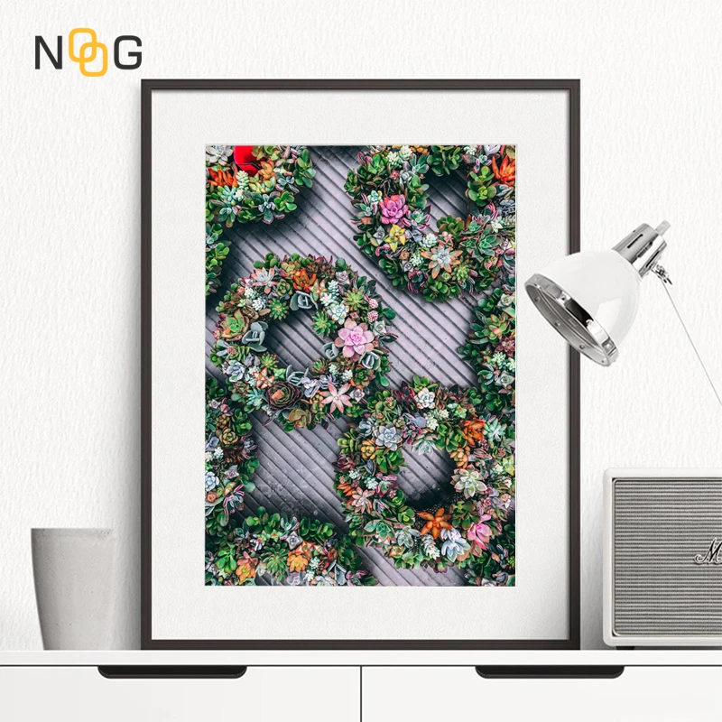NOOG Nordic Canvas Painting Living Room Decoration Pictures Poster Green Aloe Succulent Plants Modern Colorful Wall Art Murals
NOOG Nordic Canvas Painting Living Room Decoration Pictures Poster Green Aloe Succulent Plants Modern Colorful Wall Art Murals