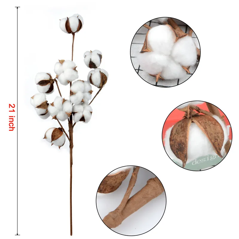 Cotton Stem , 3 Pack 10 Head Dried Cotton Flowers Decorative Flower for Farmhouse Style Wedding Home Decorations Flower 21 inch
Cotton Stem , 3 Pack 10 Head Dried Cotton Flowers Decorative Flower for Farmhouse Style Wedding Home Decorations Flower 21 inch