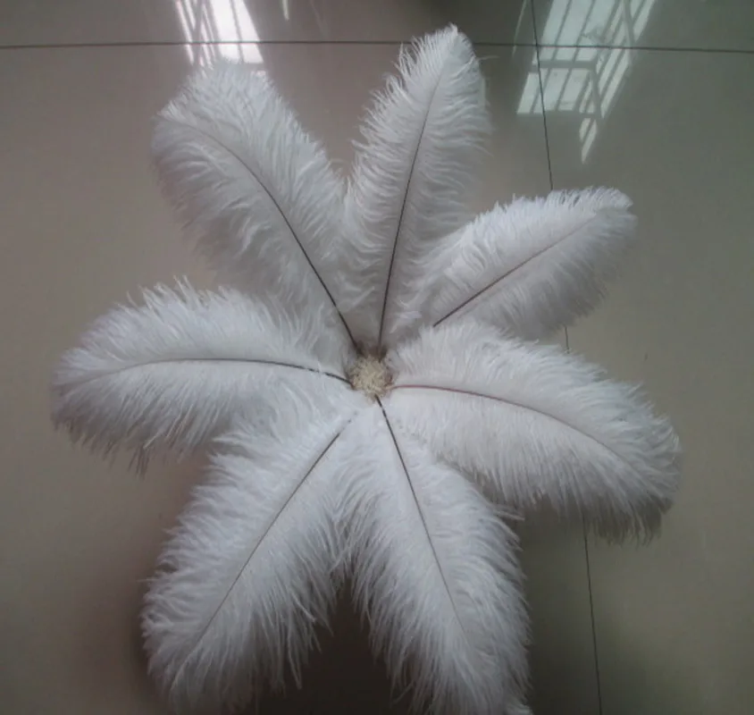 Wholesale! 100 PCS/a lot of beautiful white ostrich feathers 20-25 cm / 8-10 inches wedding celebration decoration
Wholesale! 100 PCS/a lot of beautiful white ostrich feathers 20-25 cm / 8-10 inches wedding celebration decoration