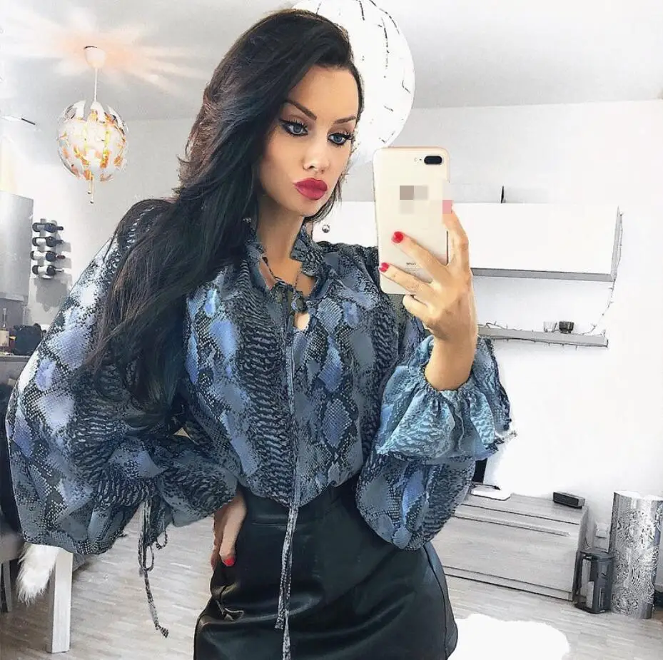 Chin Woman Korea Fashion Clothing Blue Snake Print Blouses Personality Female Loose Ladies Tops Shirt Long Lantern Sleeve Shirt
Chin Woman Korea Fashion Clothing Blue Snake Print Blouses Personality Female Loose Ladies Tops Shirt Long Lantern Sleeve Shirt