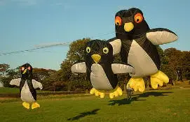 Пингуино надувной большой воздушный змей для взрослых voladera pajaros kites продажи