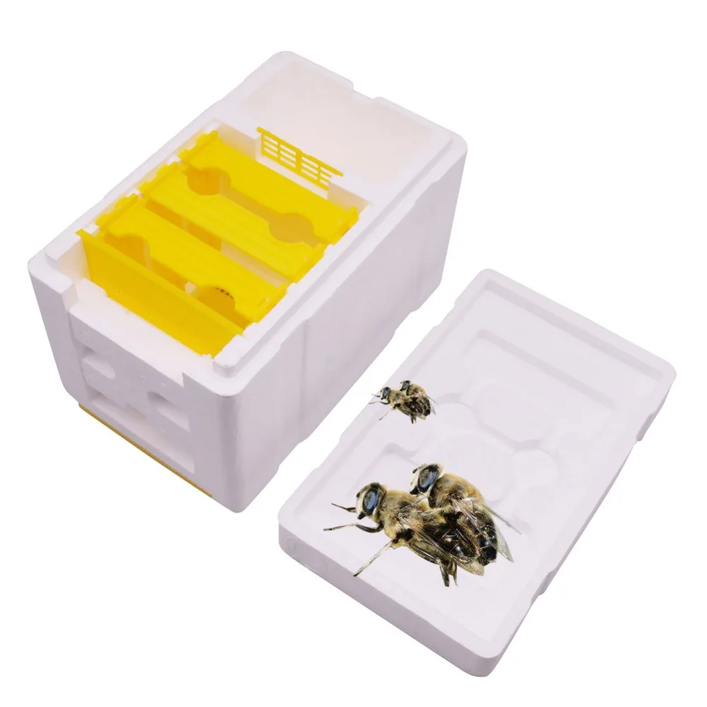 1 Pcs Bee Mating Breeding Box 241*148*166mm Beekeeper Apiary Bee Hives Beekeeping Tools Equipment Good Insulation
1 Pcs Bee Mating Breeding Box 241*148*166mm Beekeeper Apiary Bee Hives Beekeeping Tools Equipment Good Insulation