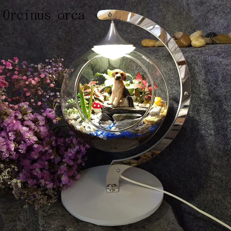 Modern minimalist plant table lamp bar restaurant balcony bedroom bedside lamp glass ball ecological plant table lamp
Modern minimalist plant table lamp bar restaurant balcony bedroom bedside lamp glass ball ecological plant table lamp