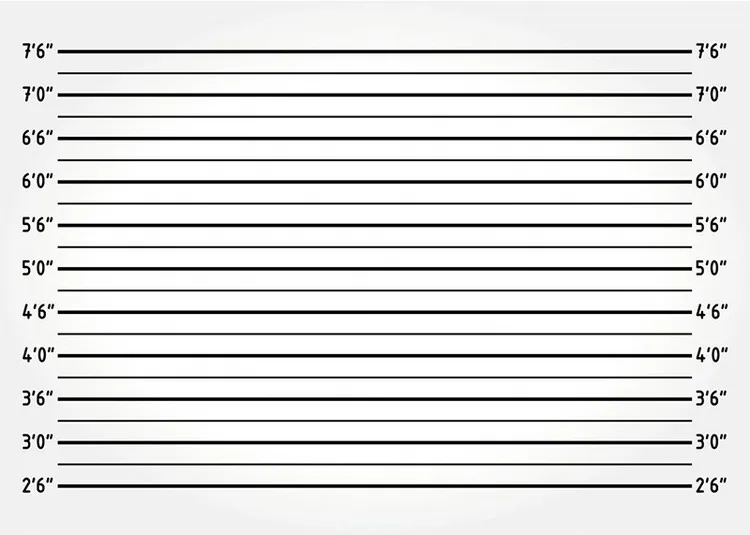 Police Up Lline Bachelorette Party Mugshots Game photo background photography backdrops quality vinyl
Police Up Lline Bachelorette Party Mugshots Game photo background photography backdrops quality vinyl