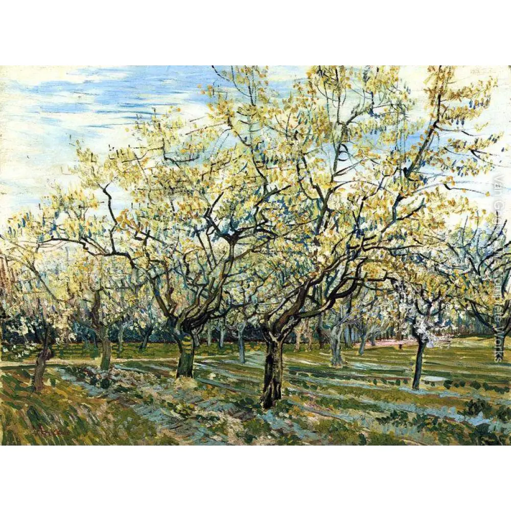 The White Orchard of Vincent Van Gogh art oil paintings Canvas reproduction hand-painted
The White Orchard of Vincent Van Gogh art oil paintings Canvas reproduction hand-painted