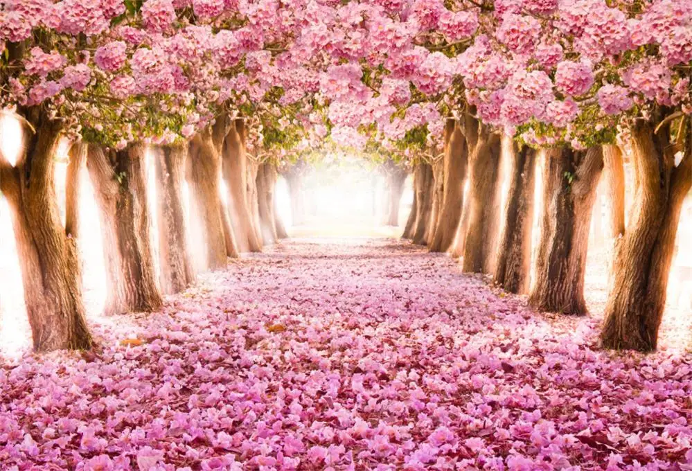 Spring Pink Blossom Flower Tree Petals Way Baby Love Birthday Party Portrait Photo Backgrounds Photography Backdrop Photo Studio
Spring Pink Blossom Flower Tree Petals Way Baby Love Birthday Party Portrait Photo Backgrounds Photography Backdrop Photo Studio