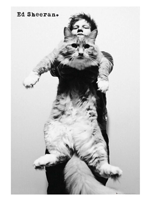 Ed Sheeran Cat Custom Retro классический декор дома настенный бумажный плакат Размер (20x30) наклейка на стену Бесплатная доставка
Ed Sheeran Cat Custom Retro классический декор дома настенный бумажный плакат Размер (20x30) наклейка на стену Бесплатная доставка