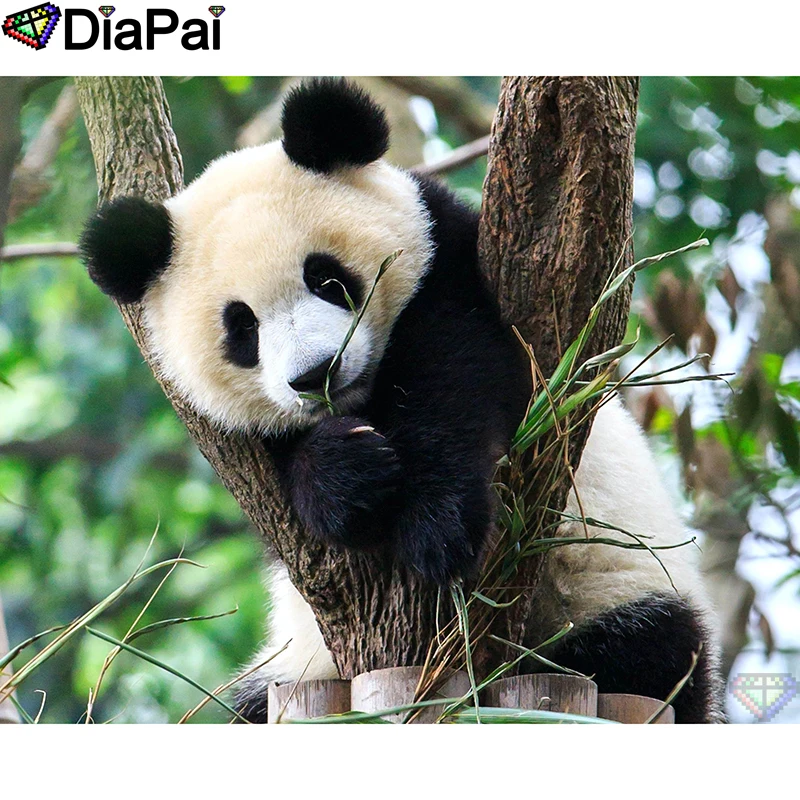 DIAPAI 5D DIY Diamond Painting 100% Full Square/Round Drill "Animal panda" Diamond Embroidery Cross Stitch 3D Decor A21890
DIAPAI 5D DIY Diamond Painting 100% Full Square/Round Drill "Animal panda" Diamond Embroidery Cross Stitch 3D Decor A21890