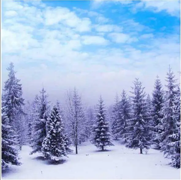 Winter blue sky white clouds Snow woodland forest Trees Field Ice Backgrounds Vinyl cloth Spray Painted wall backdrop
Winter blue sky white clouds Snow woodland forest Trees Field Ice Backgrounds Vinyl cloth Spray Painted wall backdrop