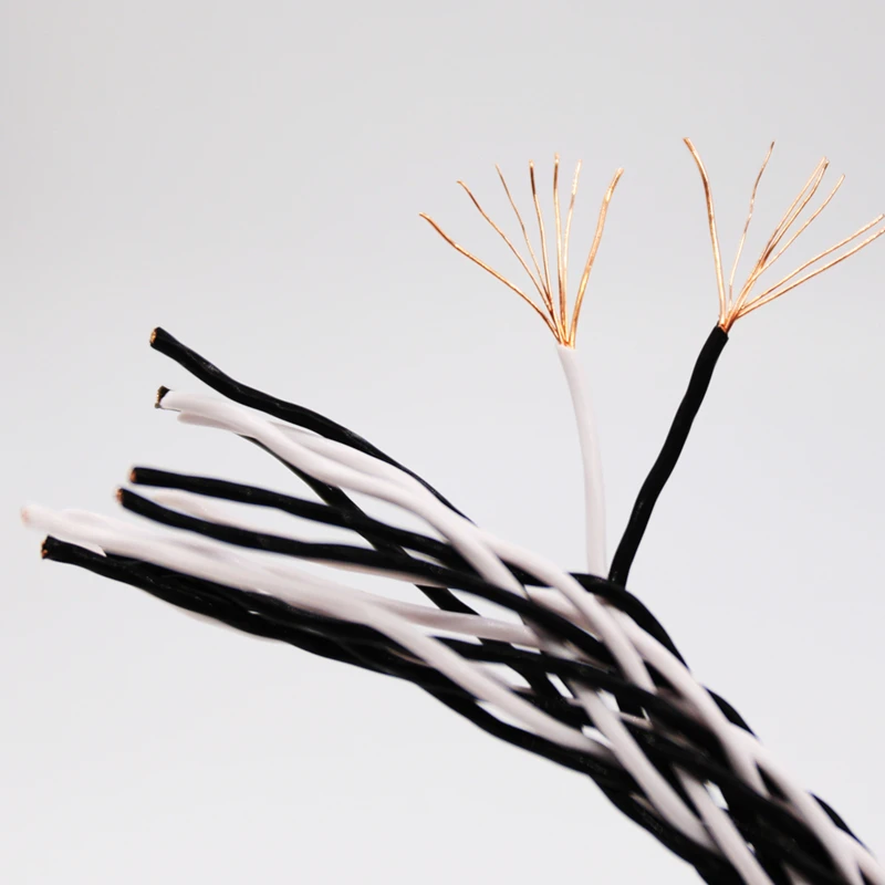 High Quality 10 Meter Copper colour OFC pure copper 8TC Speaker Cable bluk speaker cable
High Quality 10 Meter Copper colour OFC pure copper 8TC Speaker Cable bluk speaker cable