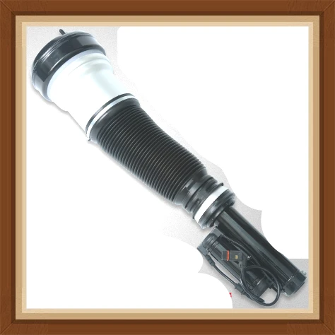 for mercedes benz Air Suspension shock Strut W220 sospension pneumatica S-CLASS W220 S430 S500 S600 S55 AMG
for mercedes benz Air Suspension shock Strut W220 sospension pneumatica S-CLASS W220 S430 S500 S600 S55 AMG