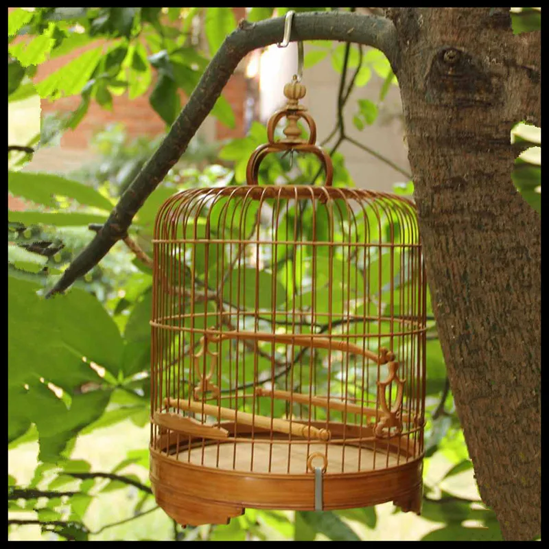 22 24 26cm Acacia embroidered eye old bamboo handmade bird cage 48 52 56 support primary color bird cage
22 24 26cm Acacia embroidered eye old bamboo handmade bird cage 48 52 56 support primary color bird cage