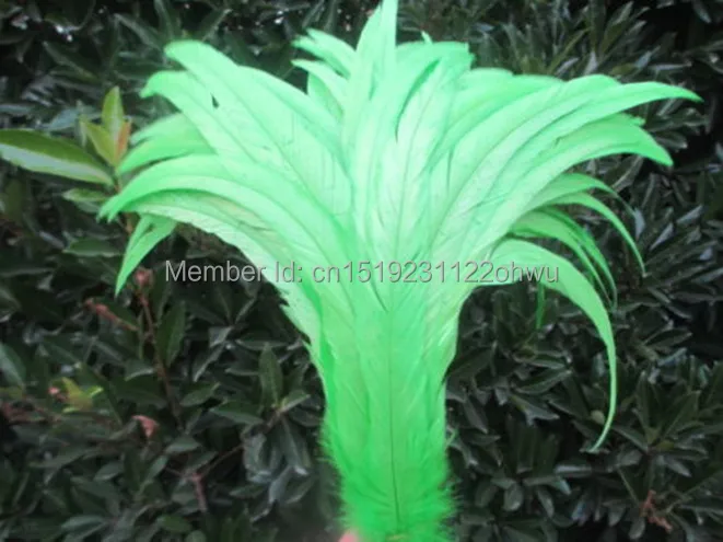 50pcs 30-35cm /12-14inch green natural loose rooster feather/cock feather/chicken feather for wedding decoration/cosplay
50pcs 30-35cm /12-14inch green natural loose rooster feather/cock feather/chicken feather for wedding decoration/cosplay