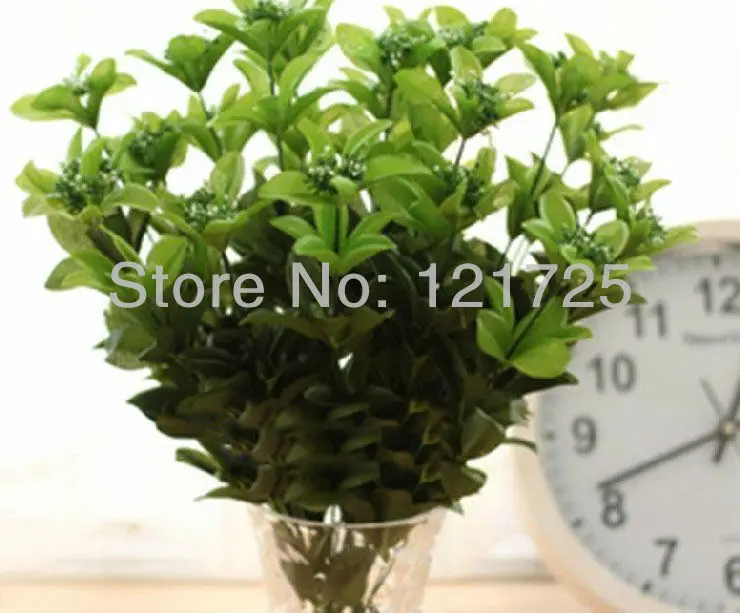 Meters bluegrass Plastic flower artificial flowers Holly household adornment green plants silk flower
Meters bluegrass Plastic flower artificial flowers Holly household adornment green plants silk flower