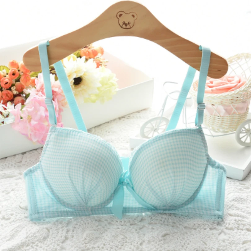 Super Women Push Up Bra Girls Underwear Gather Sexy Bras For Women Big Size Women Lace Push Up Bra Gather Women Brassiere Gather
Super Women Push Up Bra Girls Underwear Gather Sexy Bras For Women Big Size Women Lace Push Up Bra Gather Women Brassiere Gather