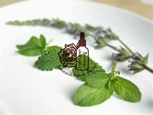 100% pure plant Herbal medicine oil schigonepeta herbal oil 30ml Essential oil traditional Chinese Fineleaf Schizonepeta Herb
100% pure plant Herbal medicine oil schigonepeta herbal oil 30ml Essential oil traditional Chinese Fineleaf Schizonepeta Herb
