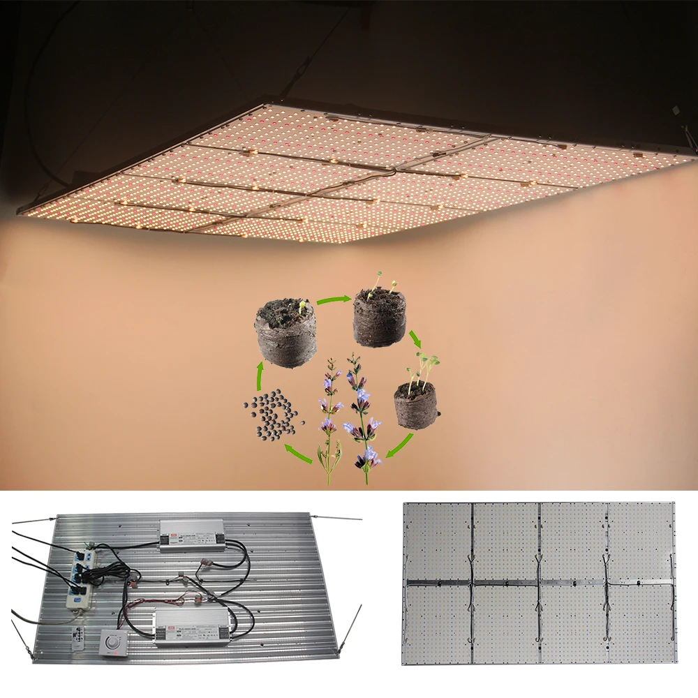 IDEA in Indoor Garden Green House Grow Tent lm301b Samsung lm301h Quantum Board Full Spectrum LED Grow Lights Grow Kit Strips
IDEA in Indoor Garden Green House Grow Tent lm301b Samsung lm301h Quantum Board Full Spectrum LED Grow Lights Grow Kit Strips